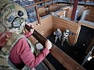 Klaudia Tanner besucht die Soldaten des Jagdkommandos. (Bild öffnet sich in einem neuen Fenster)