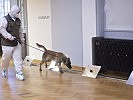 Pressekonferenz: Zwischenbericht von Corona-Spürhund. (Bild öffnet sich in einem neuen Fenster)