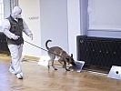 Pressekonferenz: Zwischenbericht von Corona-Spürhund. (Bild öffnet sich in einem neuen Fenster)