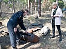 Ministerin Klaudia Tanner besuchte den Entminungsdienst. (Bild öffnet sich in einem neuen Fenster)