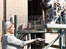 Ministerin Tanner bei den Giraffen des Zoos Schönbrunn. (Bild öffnet sich in einem neuen Fenster)