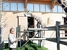 Ministerin Tanner bei den Giraffen des Zoos Schönbrunn. (Bild öffnet sich in einem neuen Fenster)