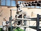 Ministerin Tanner bei den Giraffen des Zoos Schönbrunn. (Bild öffnet sich in einem neuen Fenster)