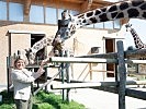 Ministerin Tanner bei den Giraffen des Zoos Schönbrunn. (Bild öffnet sich in einem neuen Fenster)