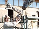 Ministerin Tanner bei den Giraffen des Zoos Schönbrunn. (Bild öffnet sich in einem neuen Fenster)