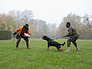 Vorführung beim Militärhundezentrum. (Bild öffnet sich in einem neuen Fenster)