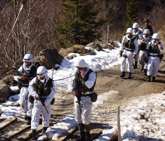 Bildgröße auf die Monitorauflösung (640x480 px) optimiert