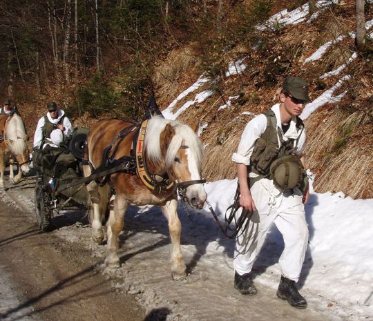 Bildgröße auf die Monitorauflösung (640x480 px) optimiert