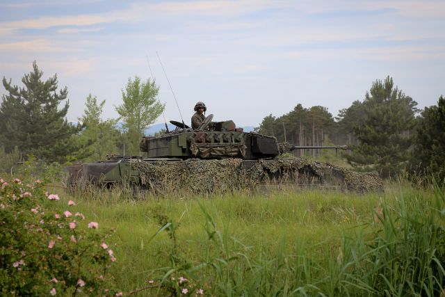 Bildgröße auf die Monitorauflösung (640x480 px) optimiert