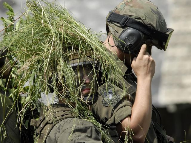 Bildgröße auf die Monitorauflösung (640x480 px) optimiert