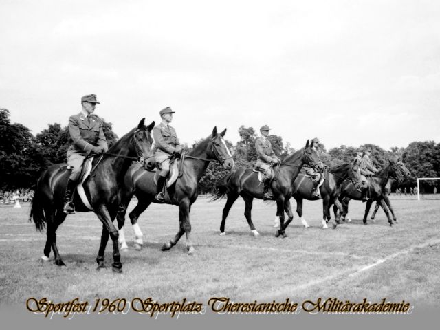 Bildgröße auf die Monitorauflösung (640x480 px) optimiert