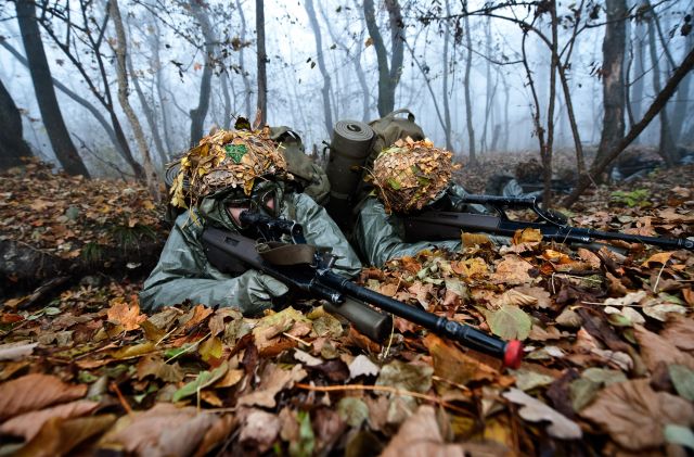 Bildgröße auf die Monitorauflösung (640x480 px) optimiert