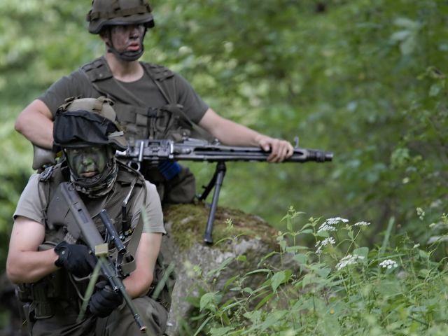 Bildgröße auf die Monitorauflösung (640x480 px) optimiert