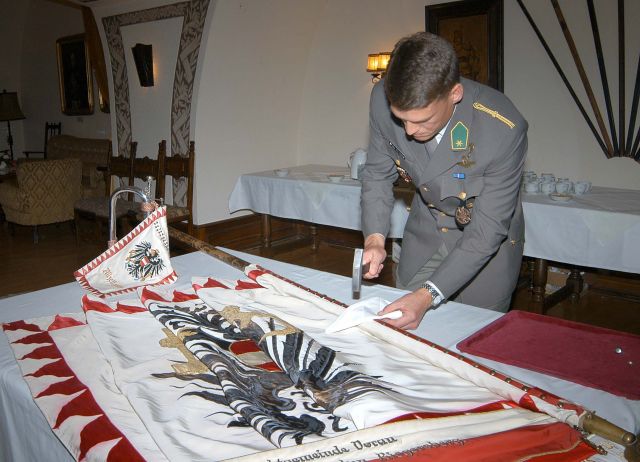 Bildgröße auf die Monitorauflösung (640x480 px) optimiert