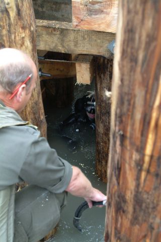 Bildgröße auf die Monitorauflösung (640x480 px) optimiert