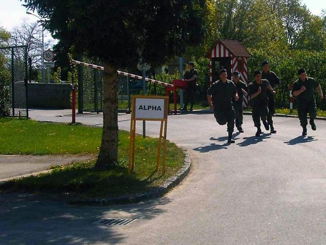 Bildgröße auf die Monitorauflösung (640x480 px) optimiert