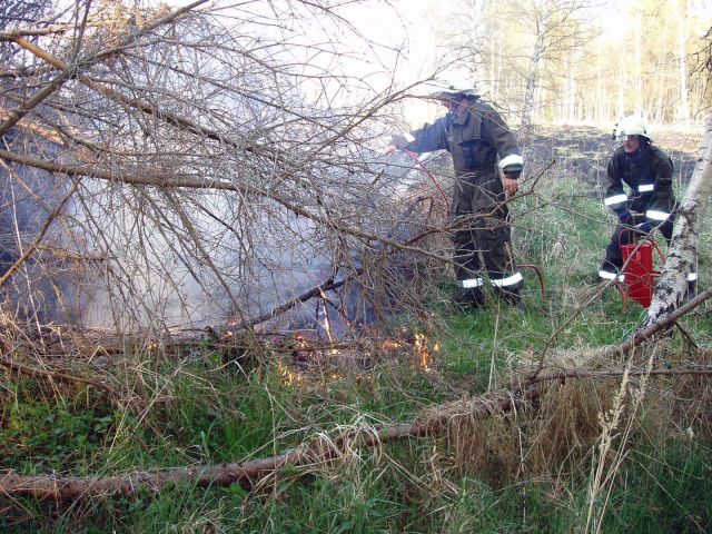 Bildgröße auf die Monitorauflösung (640x480 px) optimiert