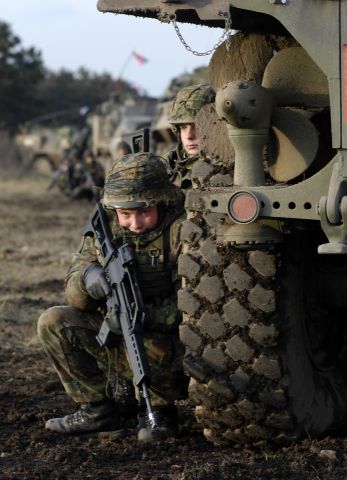 Bildgr&ouml;&szlig;e auf die Monitoraufl&ouml;sung (640x480 px) optimiert