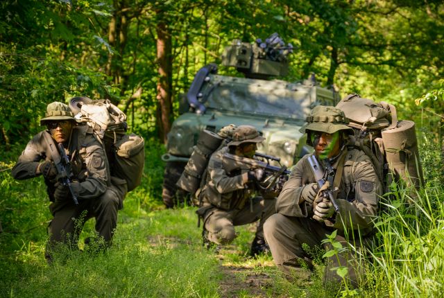 Bildgr&ouml;&szlig;e auf die Monitoraufl&ouml;sung (640x480 px) optimiert