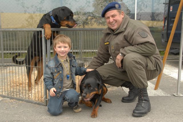 Bildgröße auf die Monitorauflösung (640x480 px) optimiert