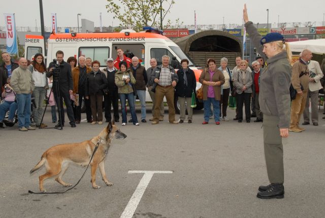 Bildgröße auf die Monitorauflösung (640x480 px) optimiert