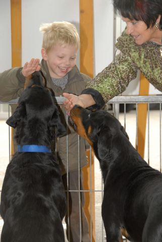 Bildgr&ouml;&szlig;e auf die Monitoraufl&ouml;sung (640x480 px) optimiert