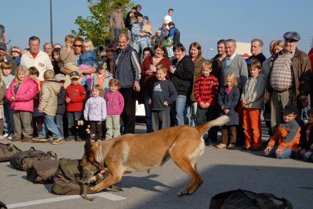 Bildgröße auf die Monitorauflösung (640x480 px) optimiert