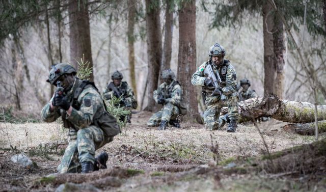 Bildgröße auf die Monitorauflösung (640x480 px) optimiert