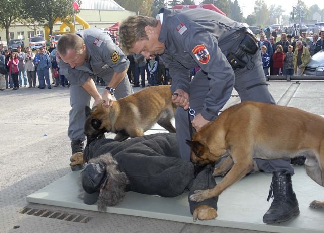 Bildgröße auf die Monitorauflösung (640x480 px) optimiert