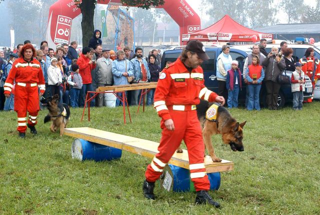 Bildgröße auf die Monitorauflösung (640x480 px) optimiert