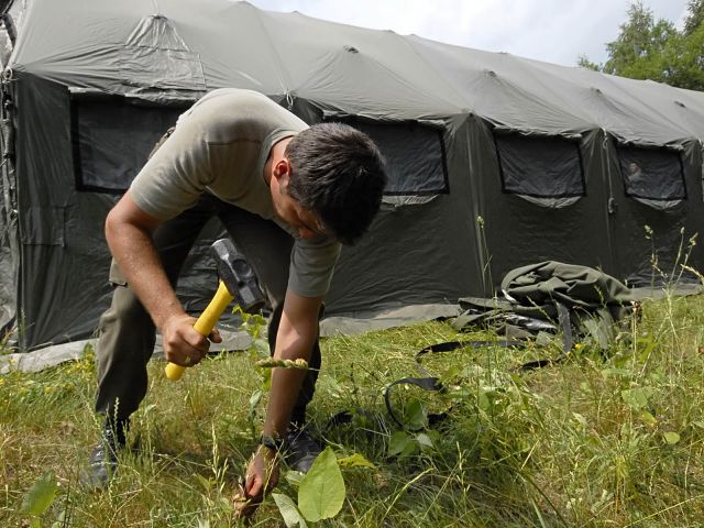 Bildgr&ouml;&szlig;e auf die Monitoraufl&ouml;sung (640x480 px) optimiert