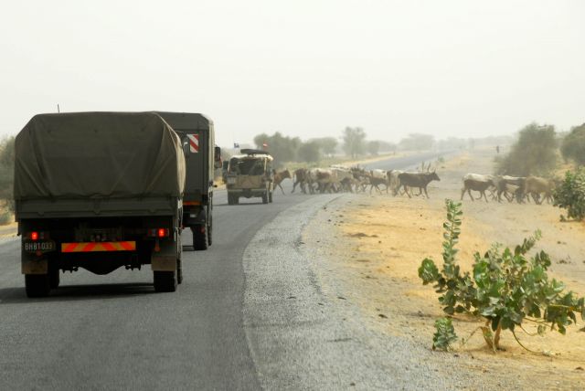 Bildgr&ouml;&szlig;e auf die Monitoraufl&ouml;sung (640x480 px) optimiert