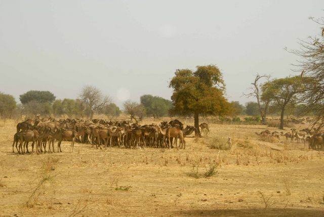 Bildgr&ouml;&szlig;e auf die Monitoraufl&ouml;sung (640x480 px) optimiert