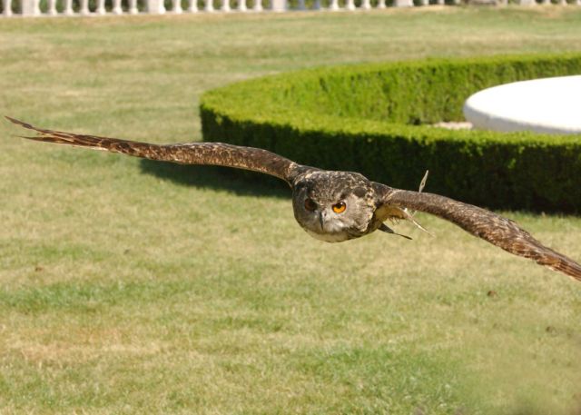 Bildgr&ouml;&szlig;e auf die Monitoraufl&ouml;sung (640x480 px) optimiert