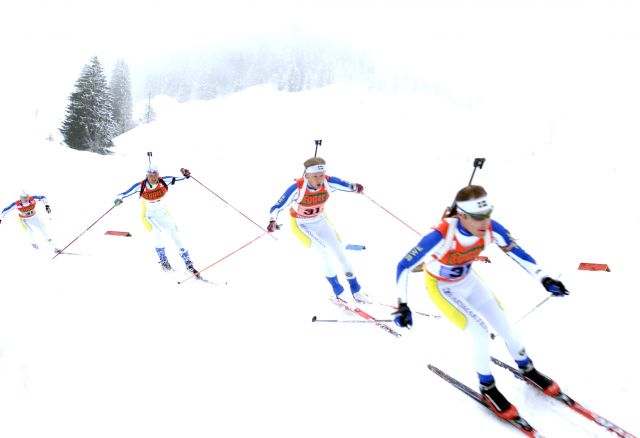 Bildgr&ouml;&szlig;e auf die Monitoraufl&ouml;sung (640x480 px) optimiert