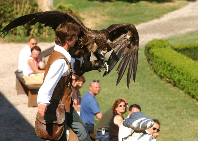 Bildgr&ouml;&szlig;e auf die Monitoraufl&ouml;sung (640x480 px) optimiert