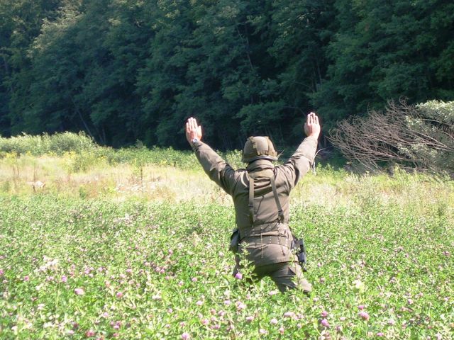 Bildgr&ouml;&szlig;e auf die Monitoraufl&ouml;sung (640x480 px) optimiert