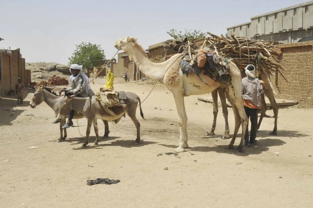 Bildgröße auf die Monitorauflösung (640x480 px) optimiert