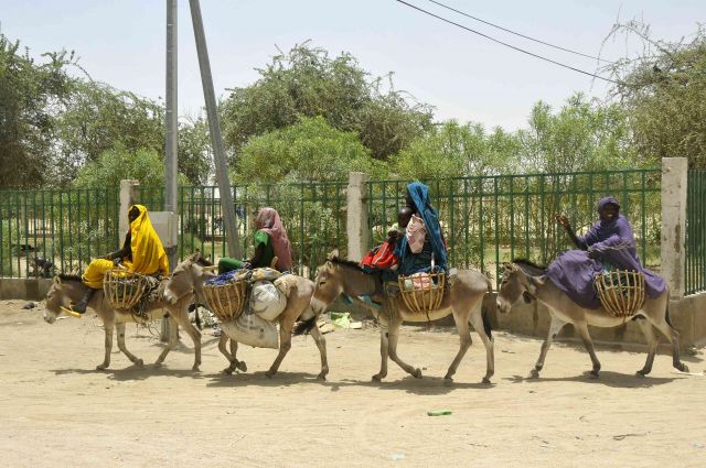 Bildgröße auf die Monitorauflösung (640x480 px) optimiert