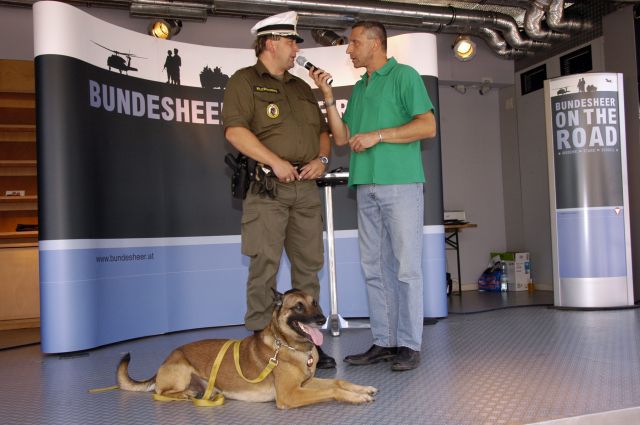 Bildgr&ouml;&szlig;e auf die Monitoraufl&ouml;sung (640x480 px) optimiert