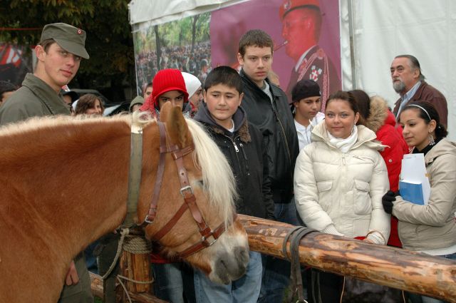 Bildgr&ouml;&szlig;e auf die Monitoraufl&ouml;sung (640x480 px) optimiert