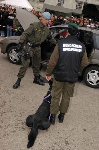 Bildgr&ouml;&szlig;e auf die Monitoraufl&ouml;sung (640x480 px) optimiert