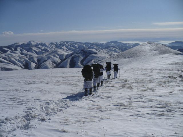 Bildgröße auf die Monitorauflösung (640x480 px) optimiert