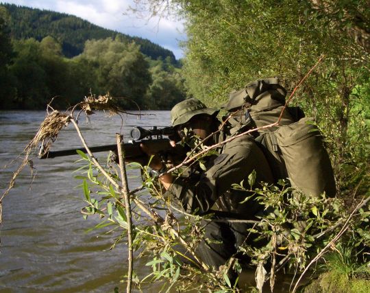 Bildgröße auf die Monitorauflösung (640x480 px) optimiert