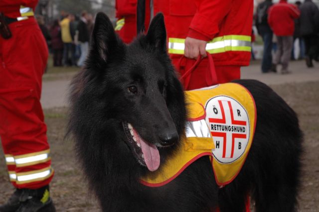 Bildgröße auf die Monitorauflösung (640x480 px) optimiert