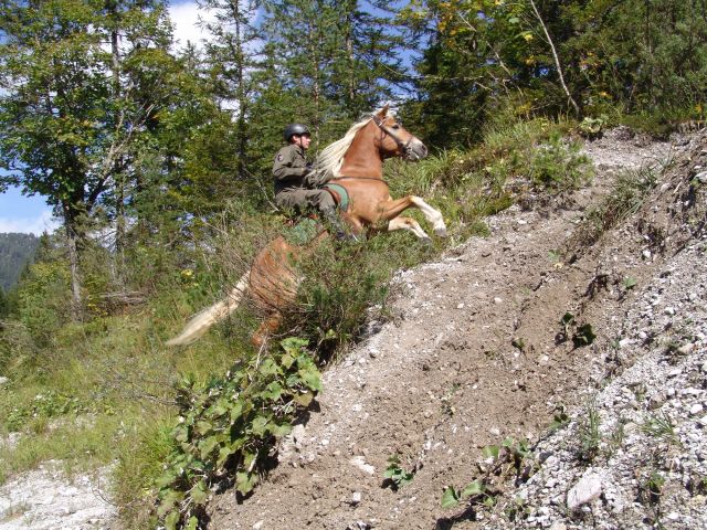 Bildgröße auf die Monitorauflösung (640x480 px) optimiert