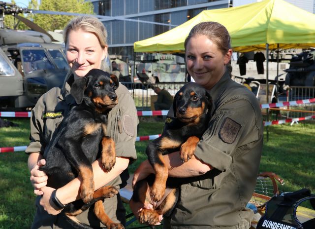 Bildgr&ouml;&szlig;e auf die Monitoraufl&ouml;sung (640x480 px) optimiert