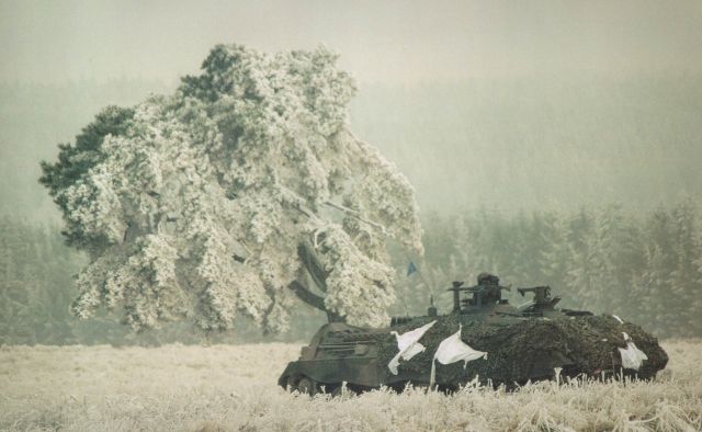 Bildgr&ouml;&szlig;e auf die Monitoraufl&ouml;sung (640x480 px) optimiert