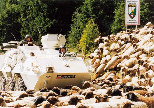 Bildgr&ouml;&szlig;e auf die Monitoraufl&ouml;sung (640x480 px) optimiert