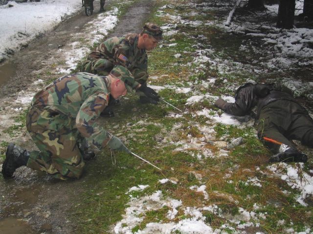 Bildgröße auf die Monitorauflösung (640x480 px) optimiert